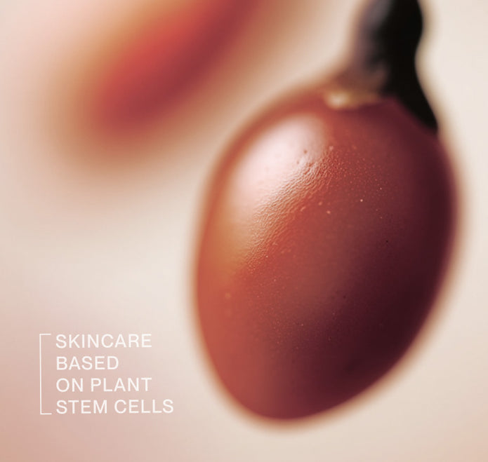 Verschwommenes Close-up einer Gojibeere mit dem Schriftzug Skincare based on Plant Stem Cells
