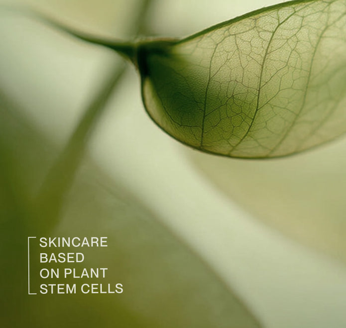 Verschwommenes Close-up eines Pflanzenblatts mit dem Schriftzug Skincare based on Plant Stem Cells