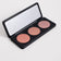 Powder Blush Palette