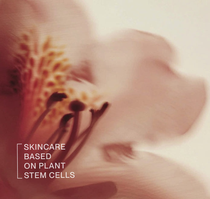 Verschwommenes Close-up einer Blume mit dem Schriftzug Skincare based on Plant Stem Cells