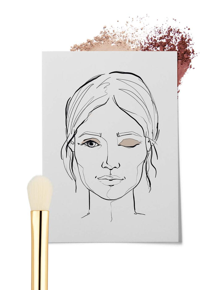 Gezeichnete Grafik eines Frauengesichts mit einem abgerundeten Lidschatten Blenderpinsel im Vordergrund